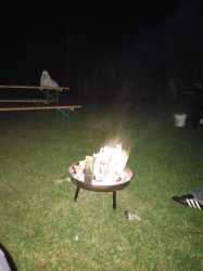 IMAG0247
