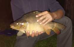 IMAG0298