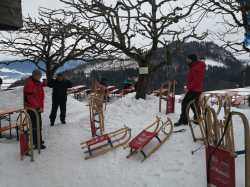 IMG 20190202 134532