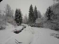 IMG 20190203 090017
