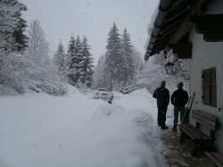 IMG 20190203 094717