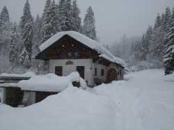 IMG 20190203 094913