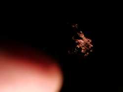 IMG 20200724 223515